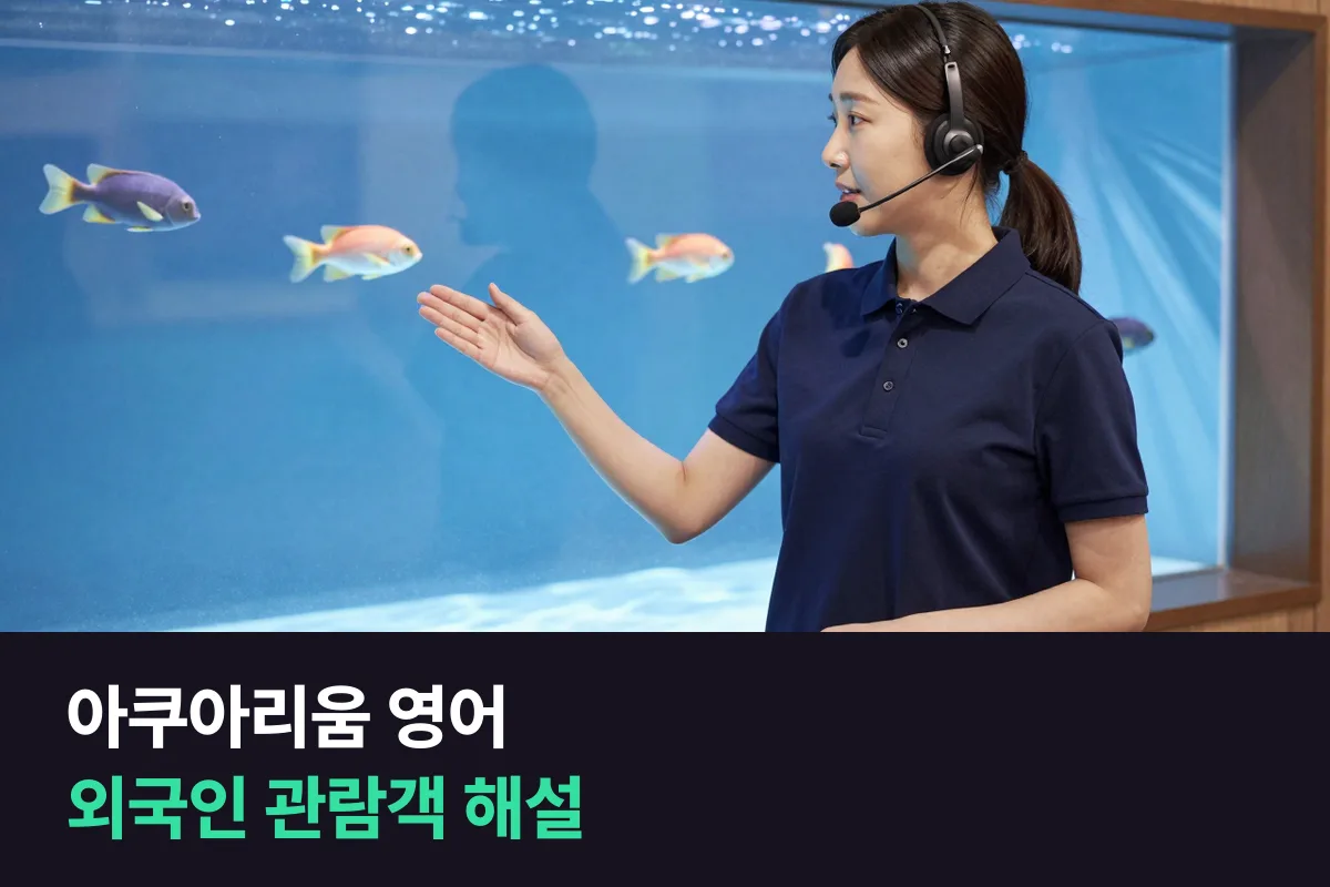 외국인 관람객 앞에서 아쿠아리움 해설사는 생물을 영어로 어떻게 설명하면 될까요?